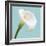 Fresh Lily III-Adam Brock-Framed Giclee Print