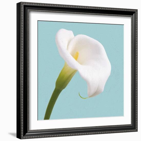 Fresh Lily III-Adam Brock-Framed Giclee Print