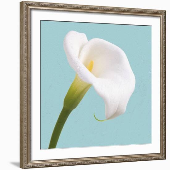 Fresh Lily III-Adam Brock-Framed Giclee Print
