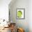 Fresh Limes-Jana Liebenstein-Framed Photographic Print displayed on a wall