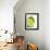 Fresh Limes-Jana Liebenstein-Framed Photographic Print displayed on a wall