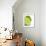 Fresh Limes-Jana Liebenstein-Framed Photographic Print displayed on a wall