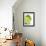 Fresh Limes-Jana Liebenstein-Framed Photographic Print displayed on a wall