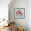 Fresh Lobster-Kimberly Allen-Framed Art Print displayed on a wall