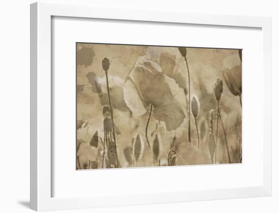 Fresh Meadow Bloom-Sheldon Lewis-Framed Art Print