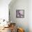 Fresh Morning Bloom-Sarah Gardner-Framed Stretched Canvas displayed on a wall
