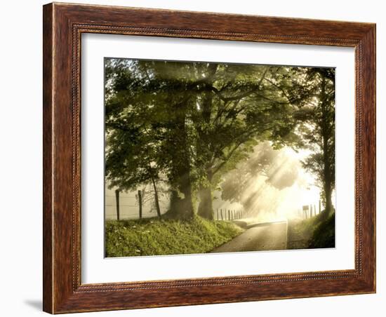 Fresh Morning I-Danny Head-Framed Art Print