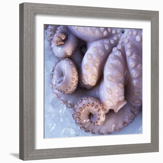 Fresh Octopus (Close-Up)-Alexander Feig-Framed Photographic Print