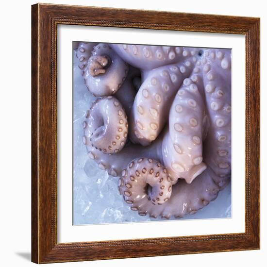 Fresh Octopus (Close-Up)-Alexander Feig-Framed Photographic Print