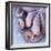 Fresh Octopus (Close-Up)-Alexander Feig-Framed Photographic Print