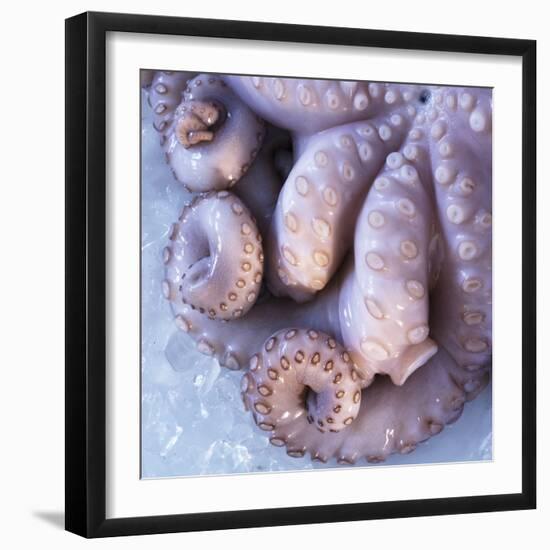 Fresh Octopus (Close-Up)-Alexander Feig-Framed Photographic Print