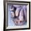 Fresh Octopus (Close-Up)-Alexander Feig-Framed Photographic Print