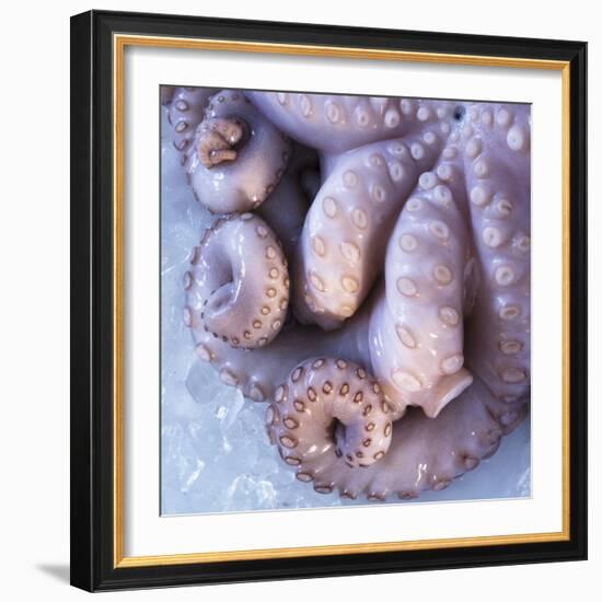 Fresh Octopus (Close-Up)-Alexander Feig-Framed Photographic Print