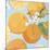 Fresh Oranges-Martha Negley-Mounted Premium Giclee Print
