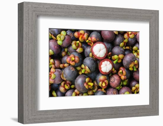 Fresh Organic Mangosteen Thai Fruit in Market Thailand.-unchalee_foto-Framed Photographic Print