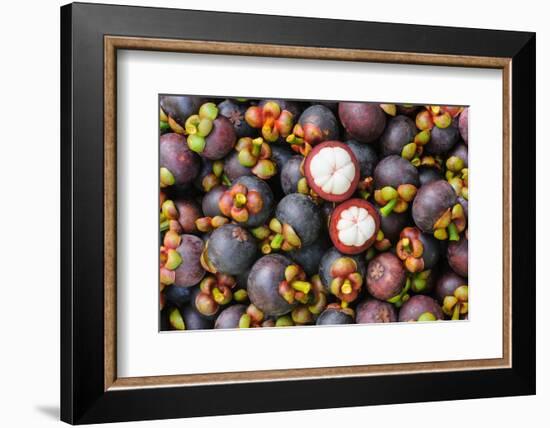 Fresh Organic Mangosteen Thai Fruit in Market Thailand.-unchalee_foto-Framed Photographic Print