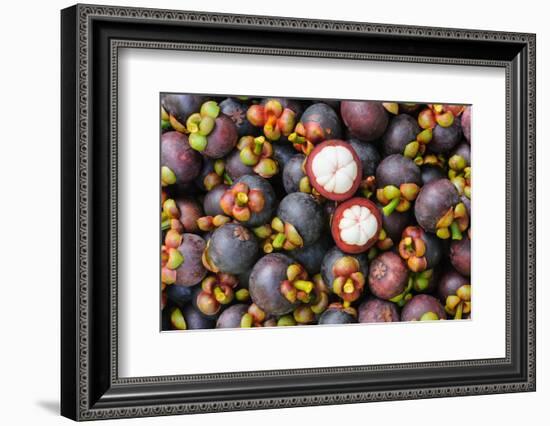 Fresh Organic Mangosteen Thai Fruit in Market Thailand.-unchalee_foto-Framed Photographic Print