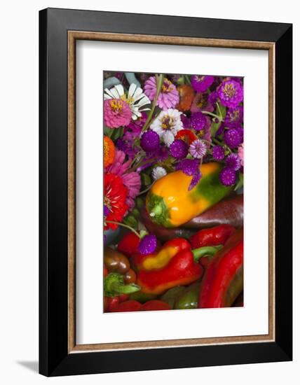 Fresh Organic Vegetables at a Farmers' Market, Savannah, Georgia, USA-Joanne Wells-Framed Photographic Print