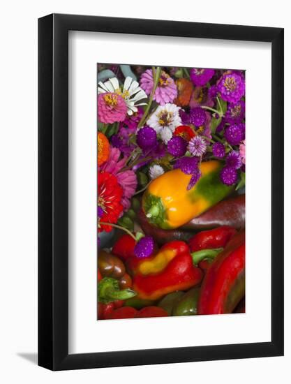 Fresh Organic Vegetables at a Farmers' Market, Savannah, Georgia, USA-Joanne Wells-Framed Photographic Print