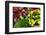 Fresh Organic Vegetables at a Farmers' Market, Savannah, Georgia, USA-Joanne Wells-Framed Photographic Print