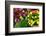 Fresh Organic Vegetables at a Farmers' Market, Savannah, Georgia, USA-Joanne Wells-Framed Photographic Print