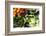 Fresh Organic Vegetables at a Farmers' Market, Savannah, Georgia, USA-Joanne Wells-Framed Photographic Print