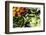 Fresh Organic Vegetables at a Farmers' Market, Savannah, Georgia, USA-Joanne Wells-Framed Photographic Print