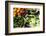 Fresh Organic Vegetables at a Farmers' Market, Savannah, Georgia, USA-Joanne Wells-Framed Photographic Print