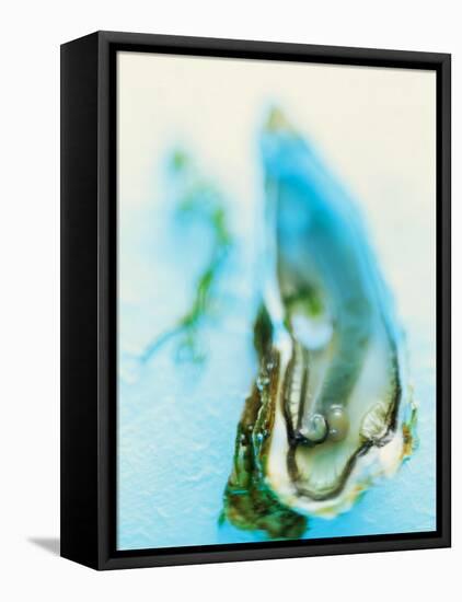 Fresh Oyster with Pearl-Jo Kirchherr-Framed Premier Image Canvas