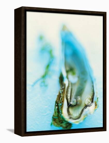 Fresh Oyster with Pearl-Jo Kirchherr-Framed Premier Image Canvas