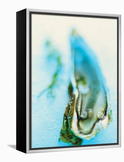 Fresh Oyster with Pearl-Jo Kirchherr-Framed Premier Image Canvas