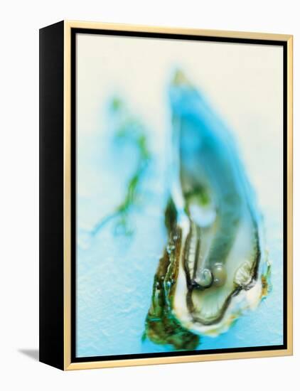 Fresh Oyster with Pearl-Jo Kirchherr-Framed Premier Image Canvas