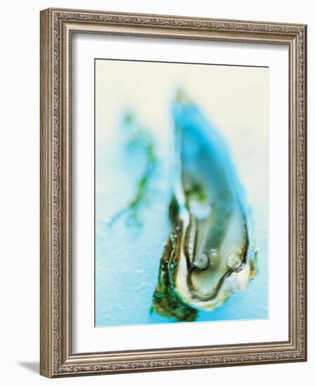 Fresh Oyster with Pearl-Jo Kirchherr-Framed Photographic Print