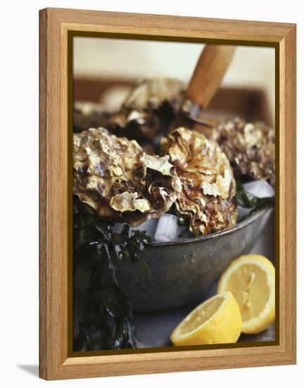 Fresh Oysters and Lemon-Debi Treloar-Framed Premier Image Canvas