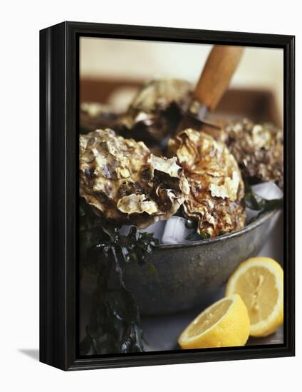 Fresh Oysters and Lemon-Debi Treloar-Framed Premier Image Canvas