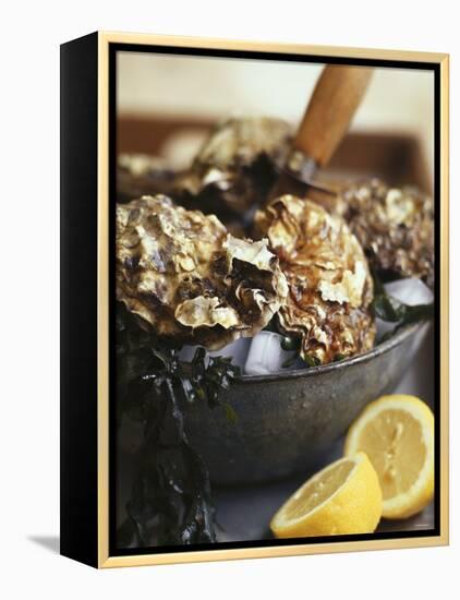 Fresh Oysters and Lemon-Debi Treloar-Framed Premier Image Canvas