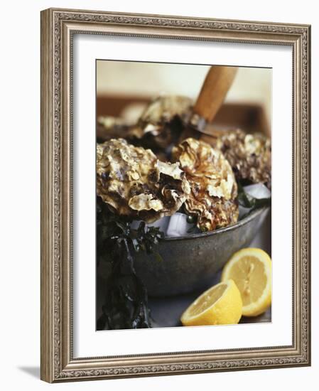 Fresh Oysters and Lemon-Debi Treloar-Framed Photographic Print