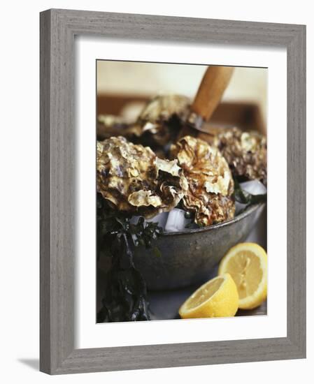 Fresh Oysters and Lemon-Debi Treloar-Framed Photographic Print