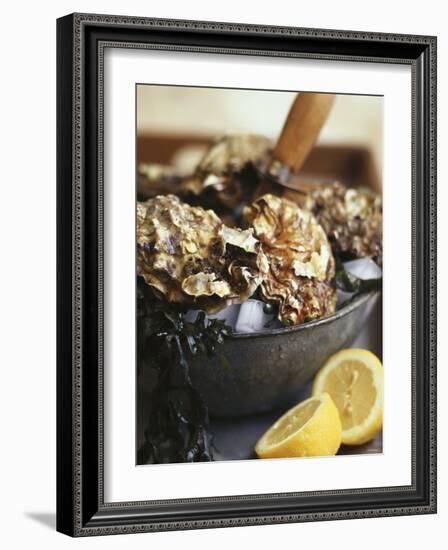 Fresh Oysters and Lemon-Debi Treloar-Framed Photographic Print