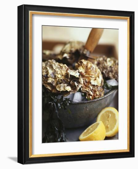 Fresh Oysters and Lemon-Debi Treloar-Framed Photographic Print