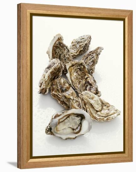 Fresh Oysters with Drops of Water-Kröger & Gross-Framed Premier Image Canvas