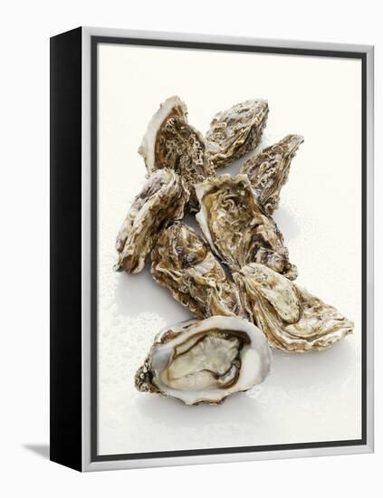 Fresh Oysters with Drops of Water-Kröger & Gross-Framed Premier Image Canvas