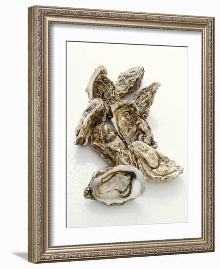 Fresh Oysters with Drops of Water-Kröger & Gross-Framed Photographic Print