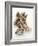 Fresh Oysters with Drops of Water-Kröger & Gross-Framed Photographic Print