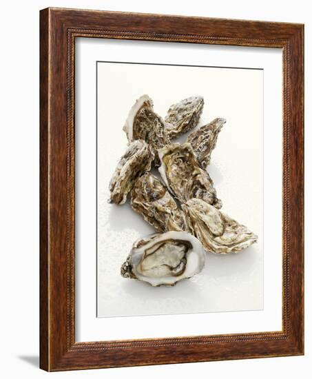 Fresh Oysters with Drops of Water-Kröger & Gross-Framed Photographic Print