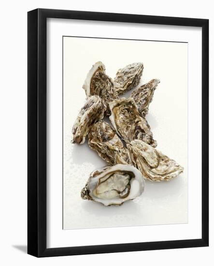 Fresh Oysters with Drops of Water-Kröger & Gross-Framed Photographic Print