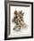 Fresh Oysters with Drops of Water-Kröger & Gross-Framed Photographic Print