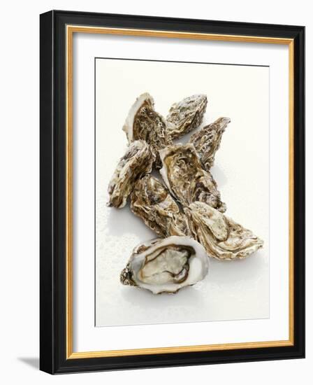 Fresh Oysters with Drops of Water-Kröger & Gross-Framed Photographic Print