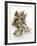 Fresh Oysters with Drops of Water-Kröger & Gross-Framed Photographic Print