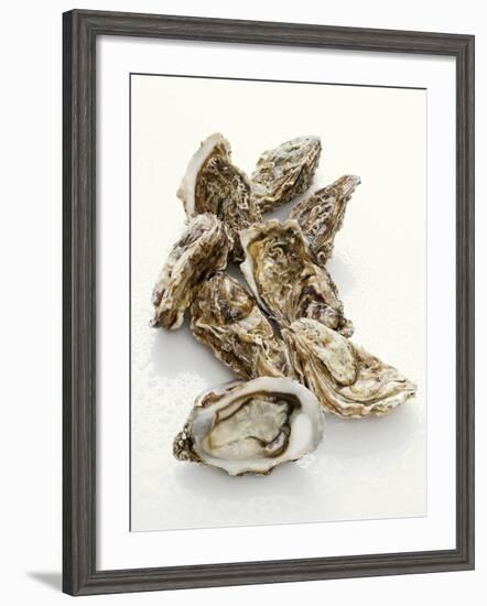 Fresh Oysters with Drops of Water-Kröger & Gross-Framed Photographic Print